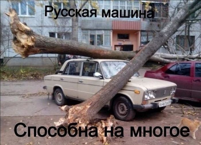 Авто приколы