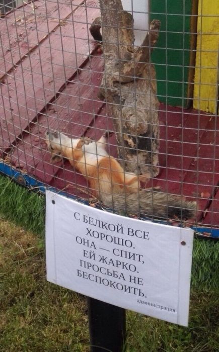 Фото, которые возможно было сделать только в России