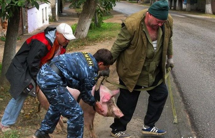 Фото, которые возможно было сделать только в России