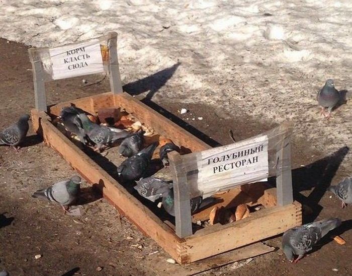 Фото, которые возможно было сделать только в России