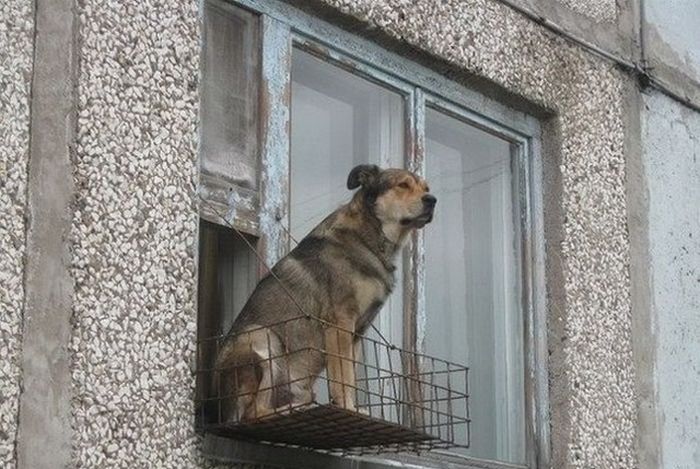 Фото, которые возможно было сделать только в России