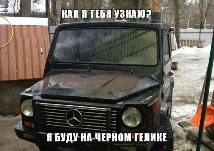 Прикольные картинки