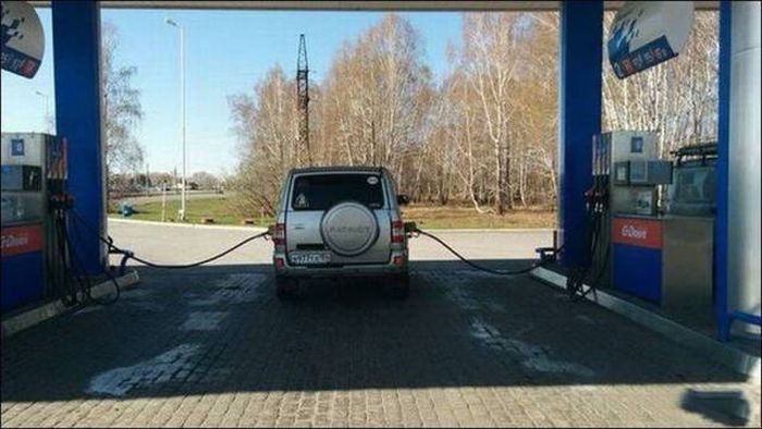 Прикольные картинки