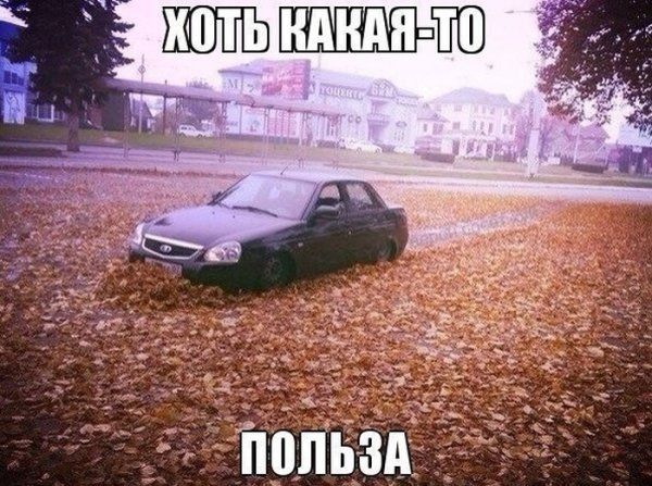 Прикольные картинки (145 фото)
