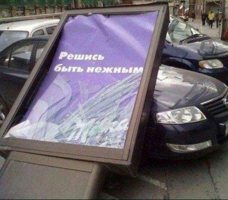 Прикольные картинки (145 фото)