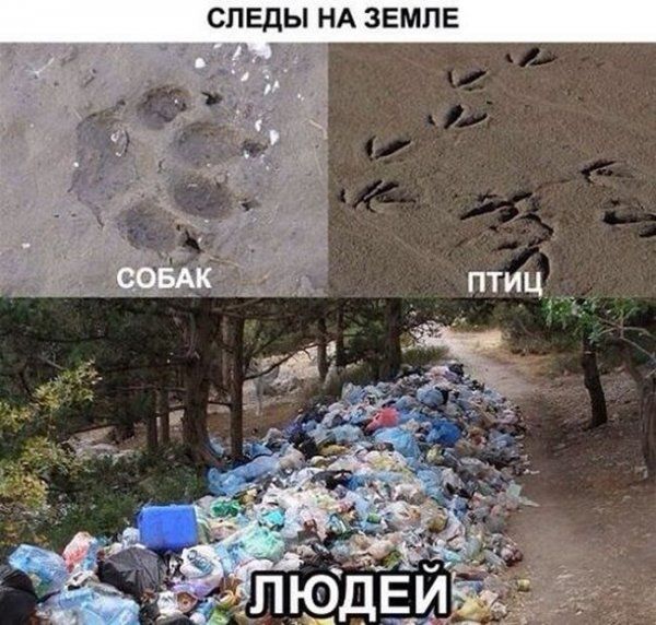 Прикольные картинки (145 фото)