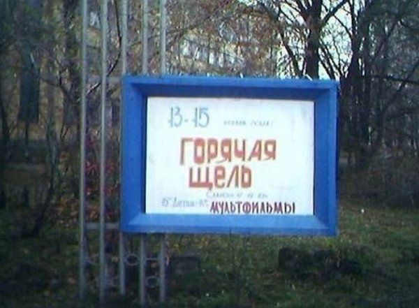 Прикольные картинки (145 фото)
