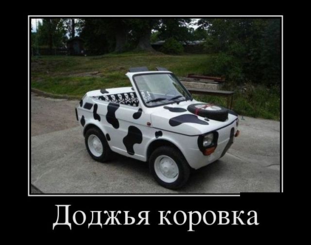 Демотиваторы
