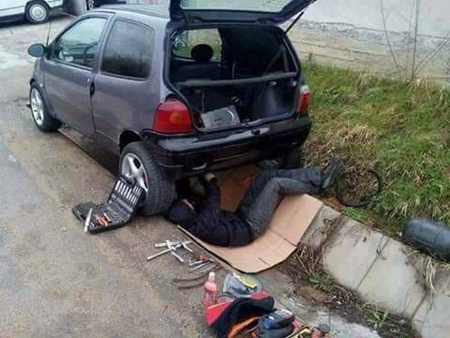 Прикольные картинки