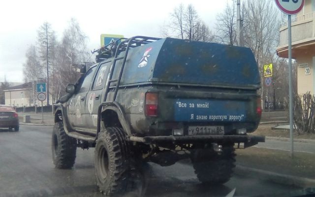 Прикольные картинки