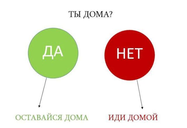 Прикольные картинки