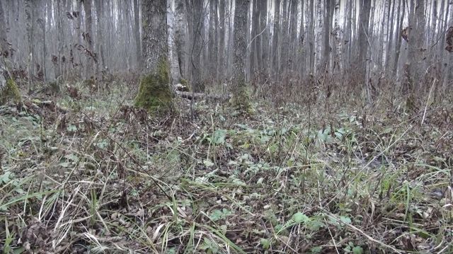 Типичная находка поисковиков