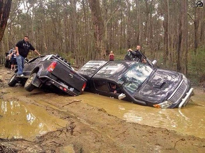 Нелепые случаи на дорогах Нелепые случаи на дорогах