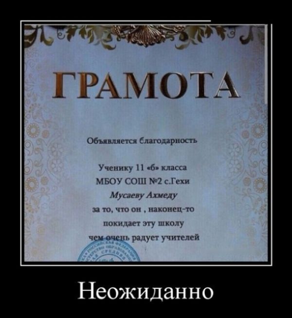 Демотиваторы
