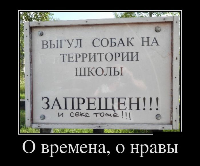 Демотиваторы