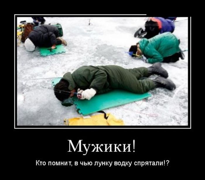 Демотиваторы