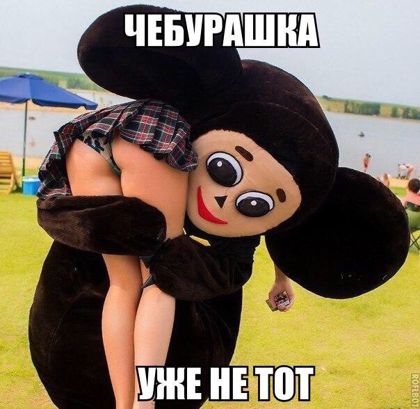 Смешные картинки с надписями