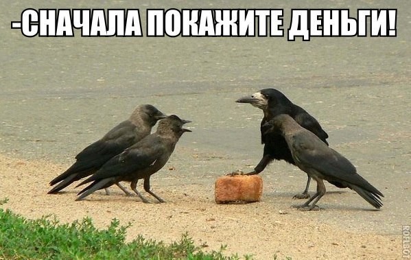 Смешные картинки с надписями