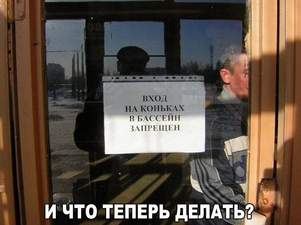 Смешные картинки с надписями