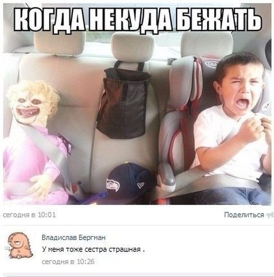 Прикольные картинки