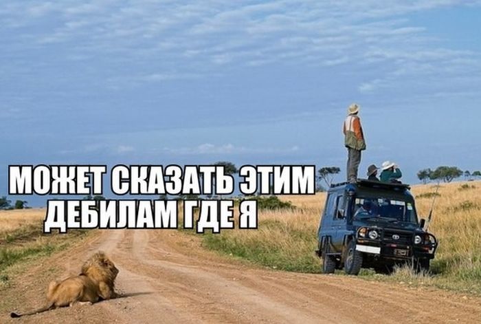 Прикольные картинки