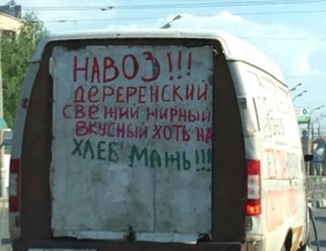 Прикольные картинки