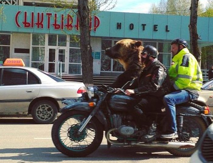 Автомобильный юмор