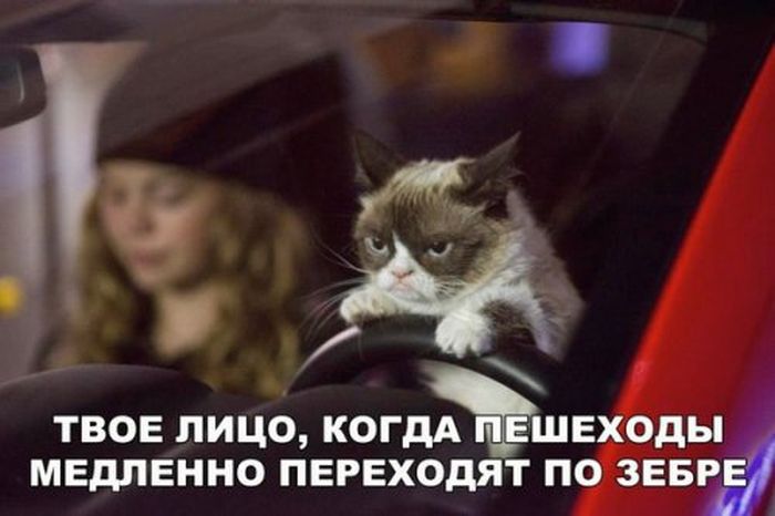 Автомобильный юмор