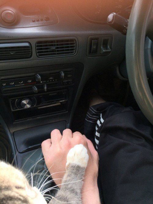Автомобильный юмор