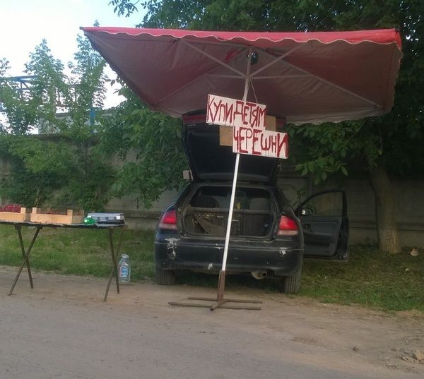 Прикольные картинки