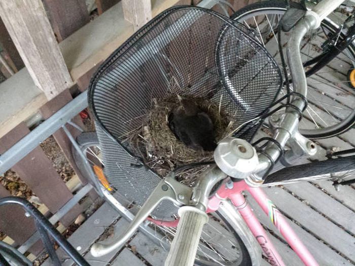 Прикольные картинки