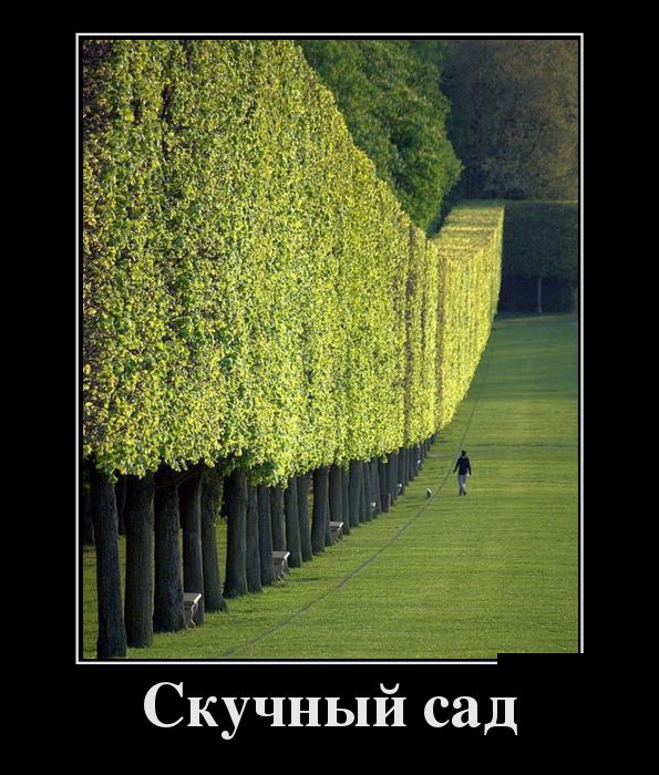 Демотиваторы