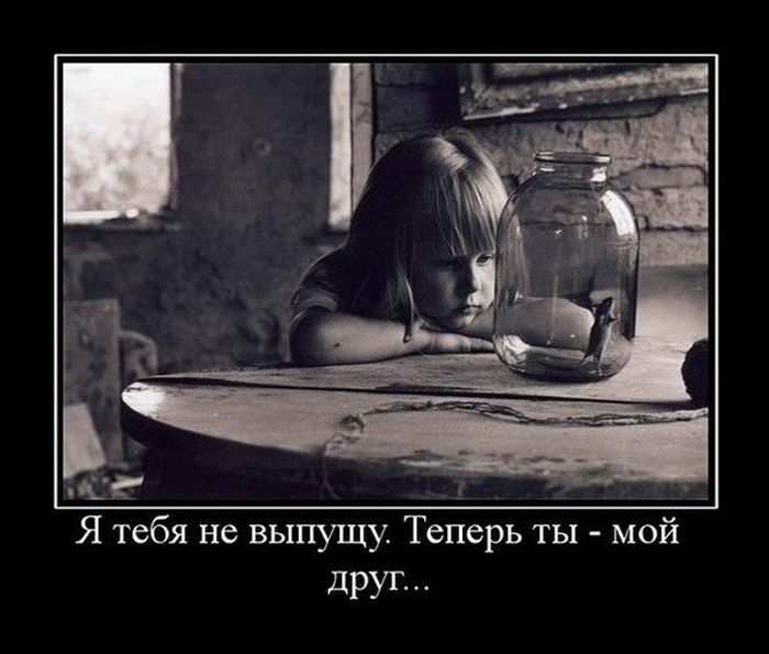 Демотиваторы