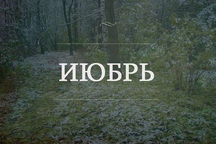 Высказывания, которые поразят вас своей точностью