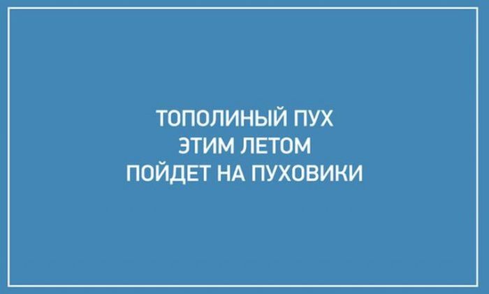 Высказывания, которые поразят вас своей точностью