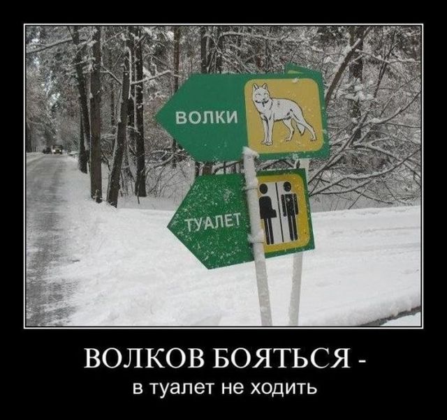 Демотиваторы