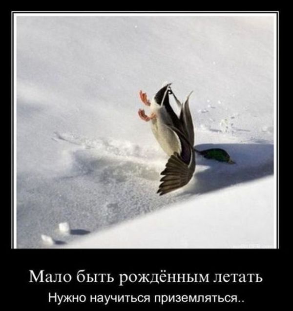 Демотиваторы