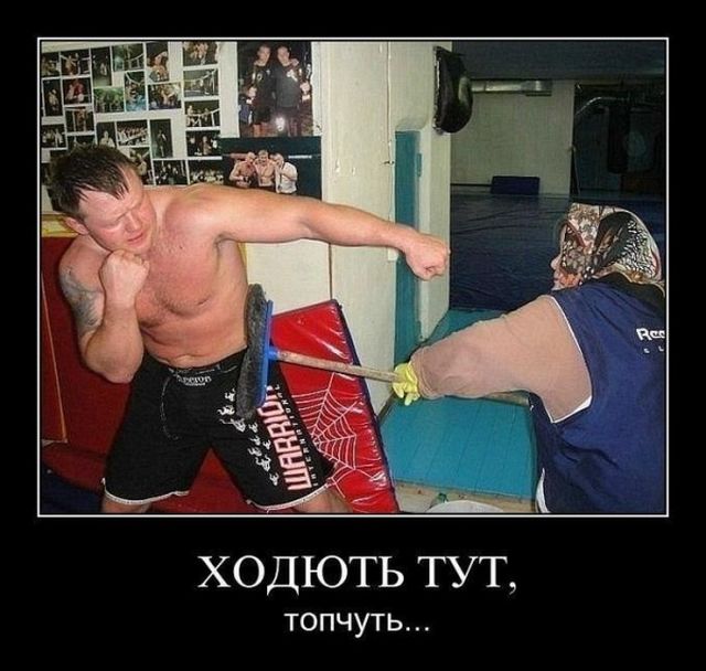 Демотиваторы