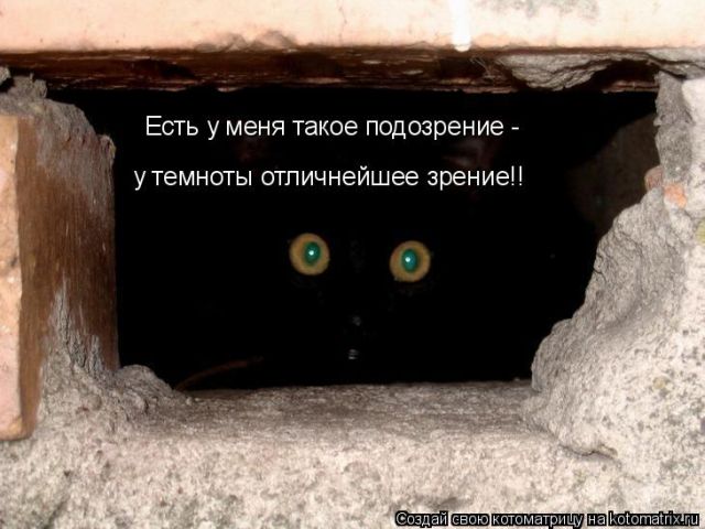 Лучшие котоматрицы недели