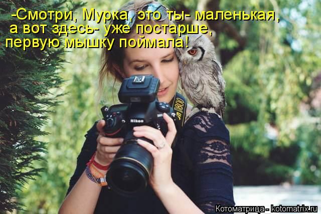 Лучшие котоматрицы недели
