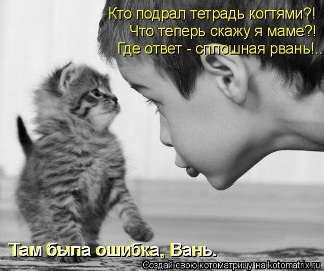 Лучшие котоматрицы недели