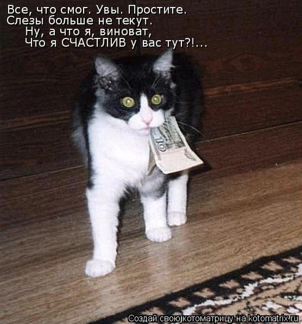 Лучшие котоматрицы недели