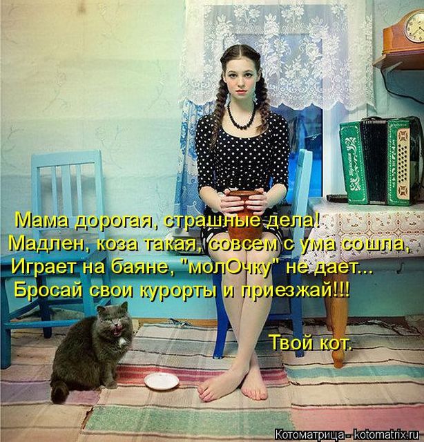 Лучшие котоматрицы недели