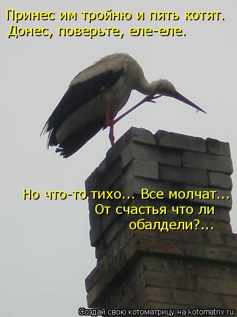 Лучшие котоматрицы недели