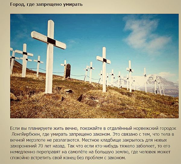 Нелепые запреты и правила