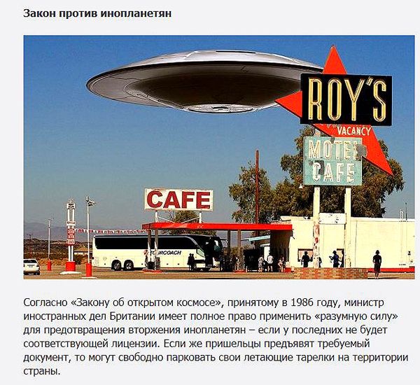 Нелепые запреты и правила