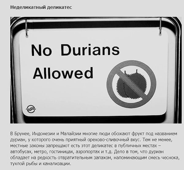 Нелепые запреты и правила