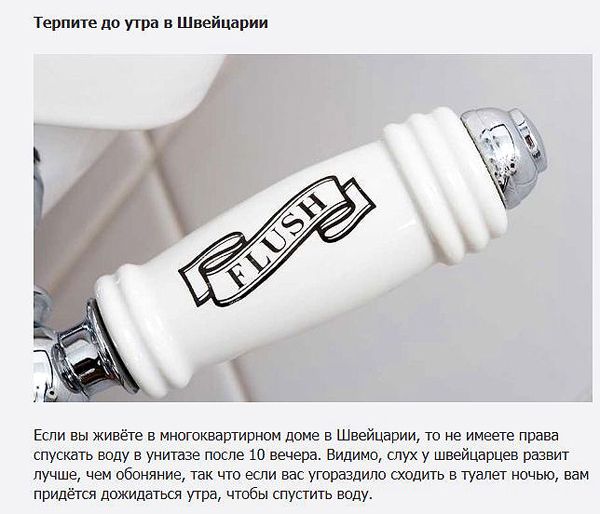 Нелепые запреты и правила