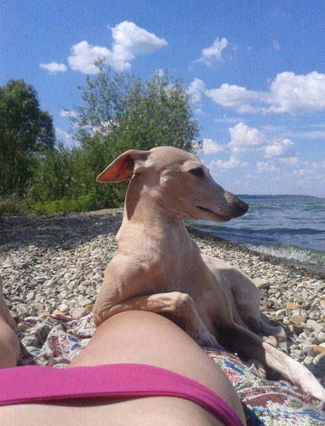 Прикольные картинки