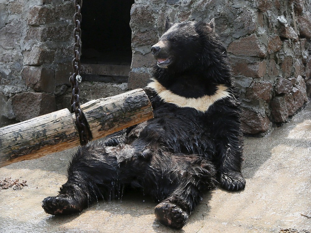 Летняя жара